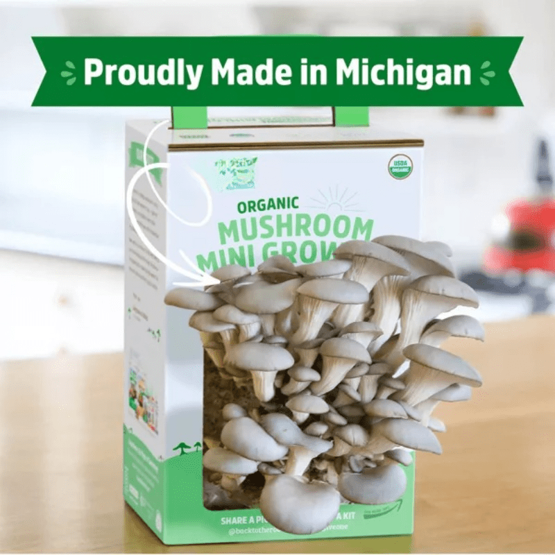 Organic Mushroom Mini Grow Kit Pearl Oyster Chef's Market