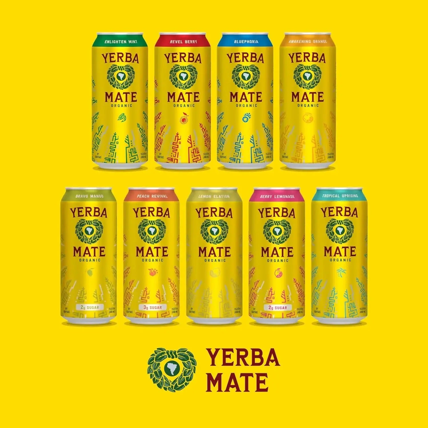 Guayakí Yerba Mate, Organic Energy Drink Alternative, Bravo Mango, Low Sugar, 150Mg Natural Caffeine, Better for You Energy & Focus, No Jitters or Crash, 15.5 Oz (Pack of 12)
