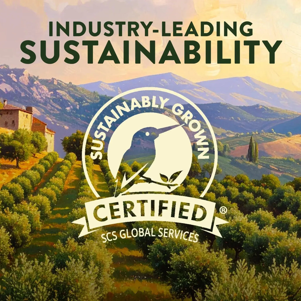 Organic Robust Extra Virgin Olive Oil - 16 Fl Oz