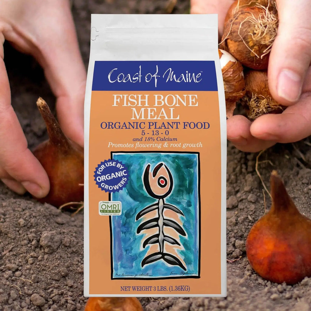 Coast of Maine Organic Fish Bone Meal Fertilizer for Bulbs and Gardens 3 Lb