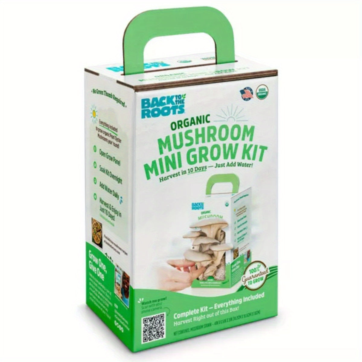 Back to the Roots Organic Mushroom Mini Grow Kit Pearl Oyster Chef's Market