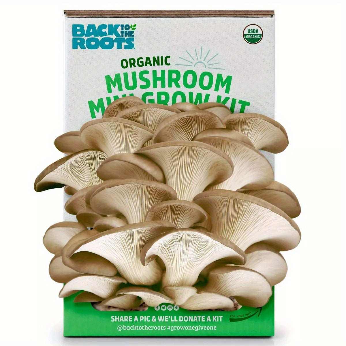 Back to the Roots Organic Mushroom Mini Grow Kit Pearl Oyster Chef's Market