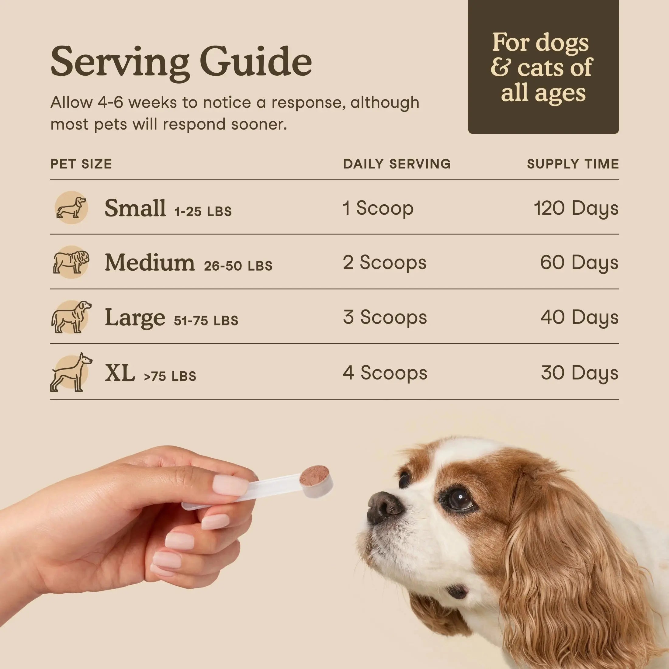 Mushroom Supplement for Dogs & Cats - with Turkey Tail - USDA Organic - Promotes Cognitive & Immune Health - 120 Scoops