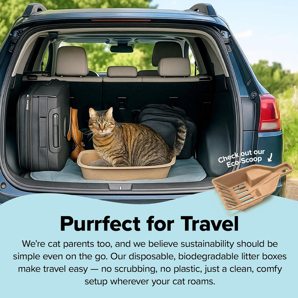 (Set of 1 Litter Box & 5 Sifting Liners) Disposable Sifting Cat Litter Box Large, 6 Count, Durable and Portable for Travel and Home Odor Control