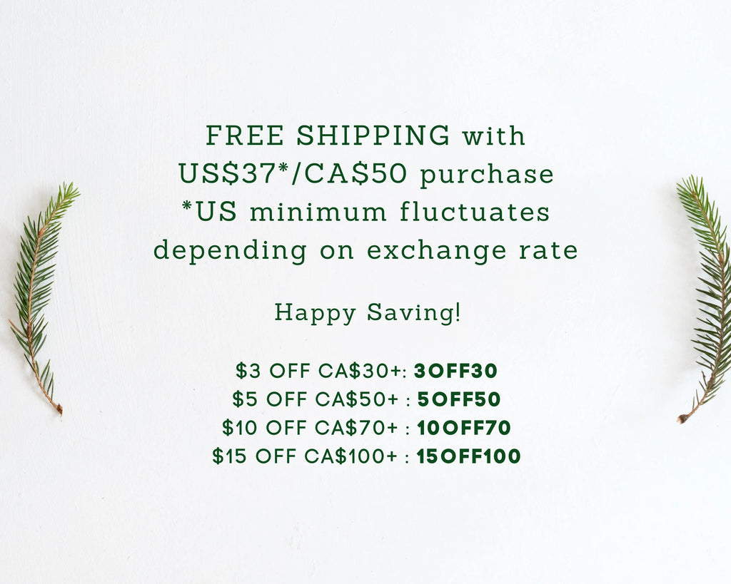 Zero Waste Kitchen Brush Set | Best Value Cleaning Tool Kit | Dish Soap Bar | Plastic-Free & Eco-Friendly Products | Gift for Mom | Plantish