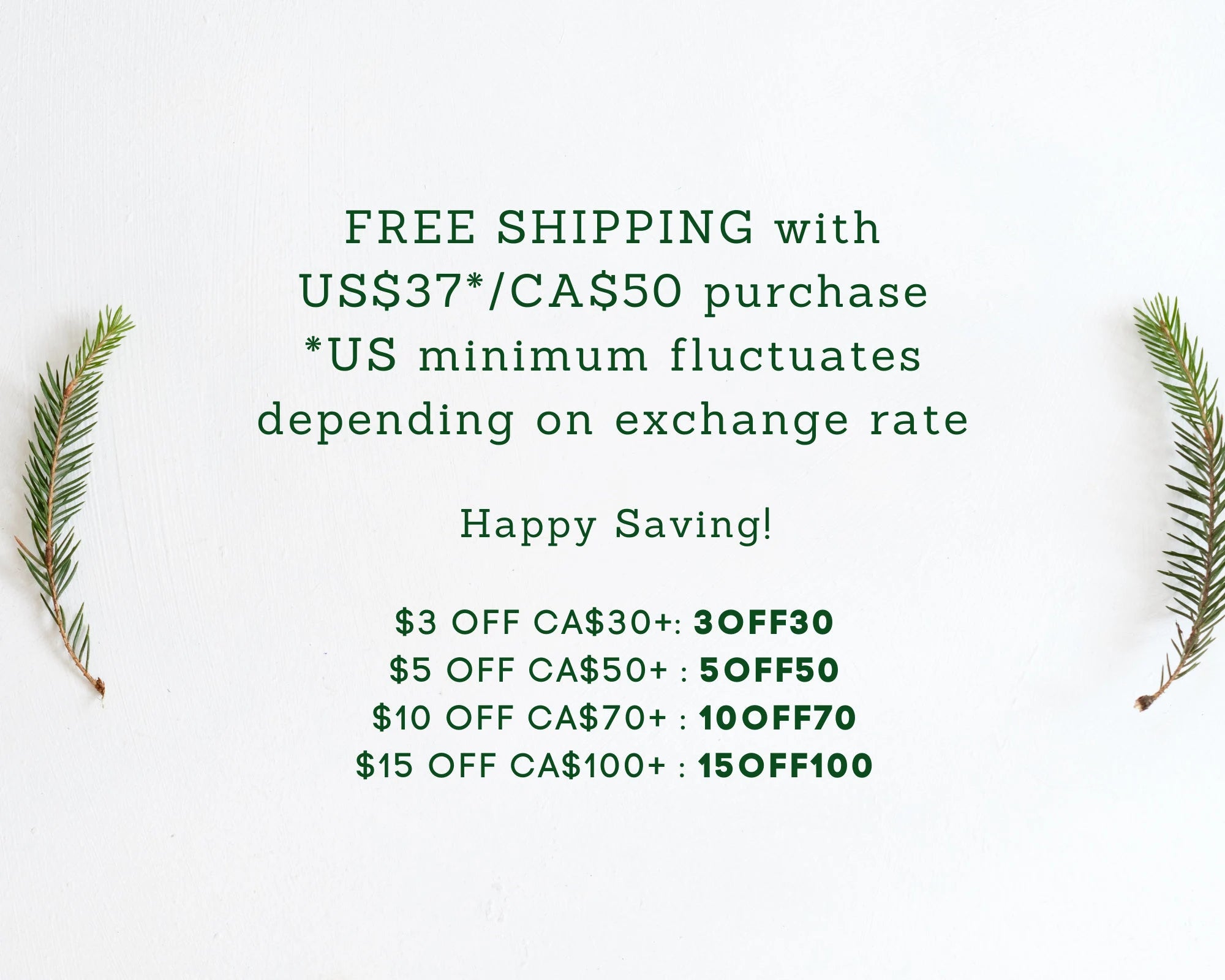 Zero Waste Kitchen Brush Set | Best Value Cleaning Tool Kit | Dish Soap Bar | Plastic-Free & Eco-Friendly Products | Gift for Mom | Plantish