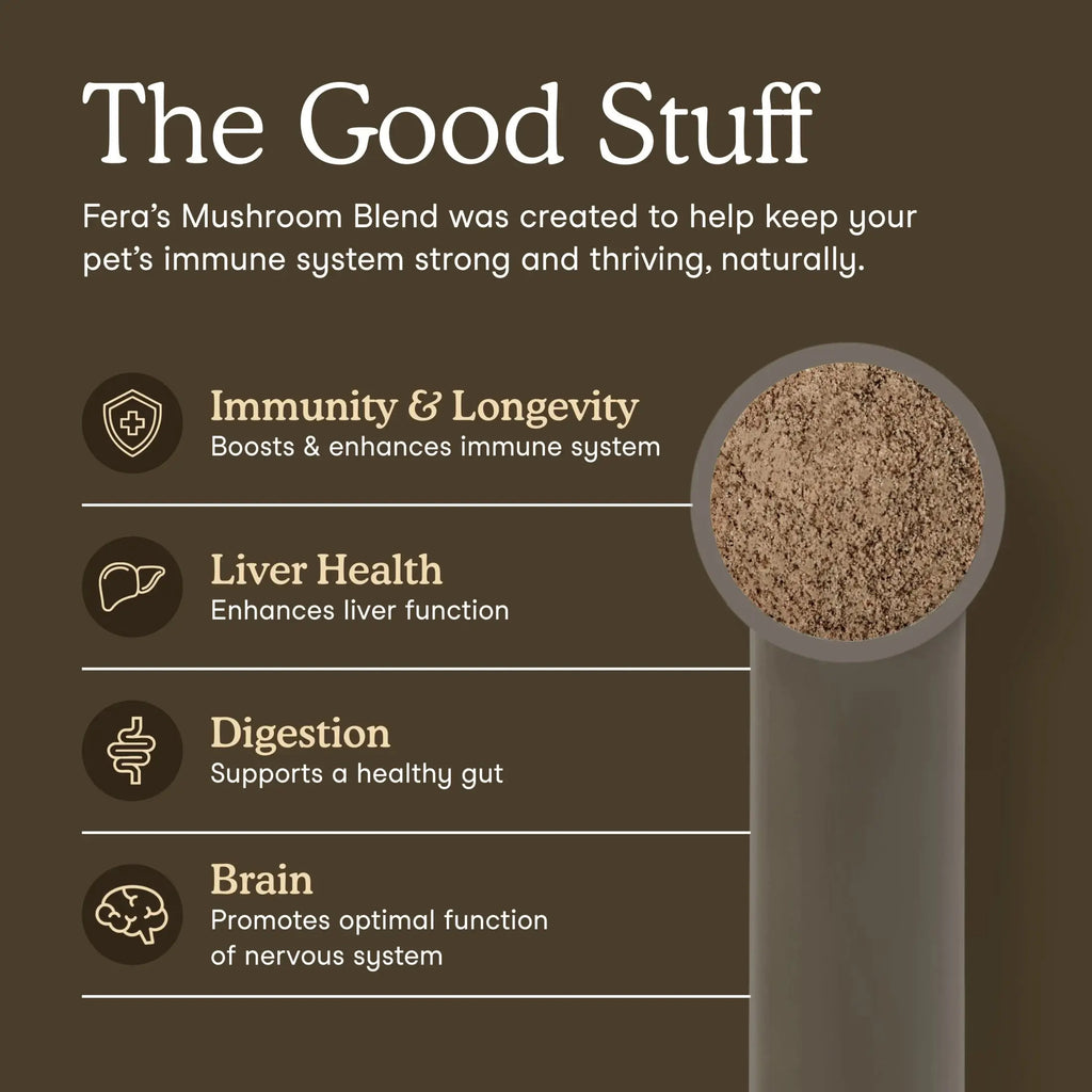 Mushroom Supplement for Dogs & Cats - with Turkey Tail - USDA Organic - Promotes Cognitive & Immune Health - 120 Scoops