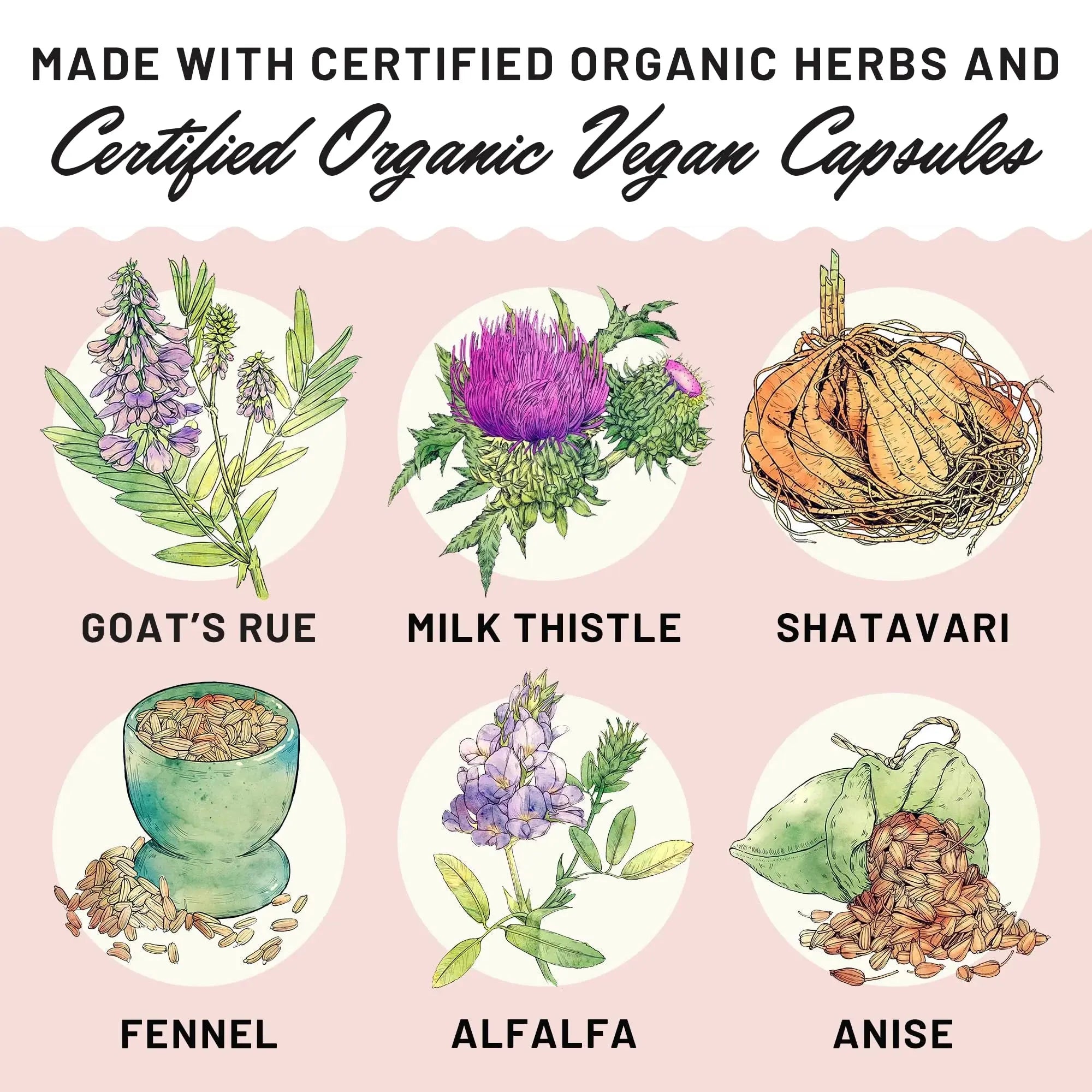 (2 Pack)  Liquid Gold, Lactation Supplement for Increased Milk Production, 60 Count