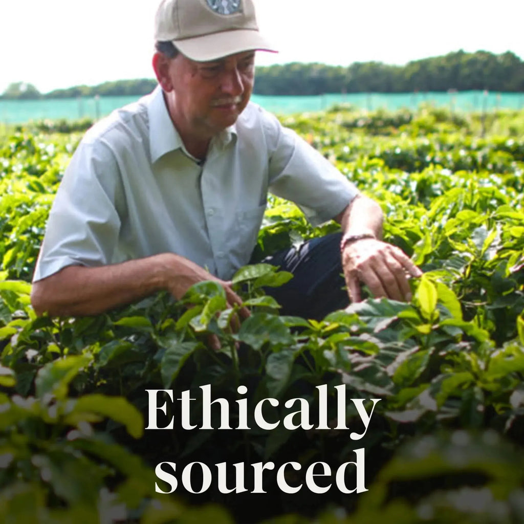 Starbucks Pumpkin Spice, Flavored Ground Coffee, 100% Arabica, Limited Edition, 17 Oz