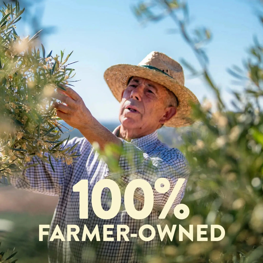 Organic Robust Extra Virgin Olive Oil - 16 Fl Oz