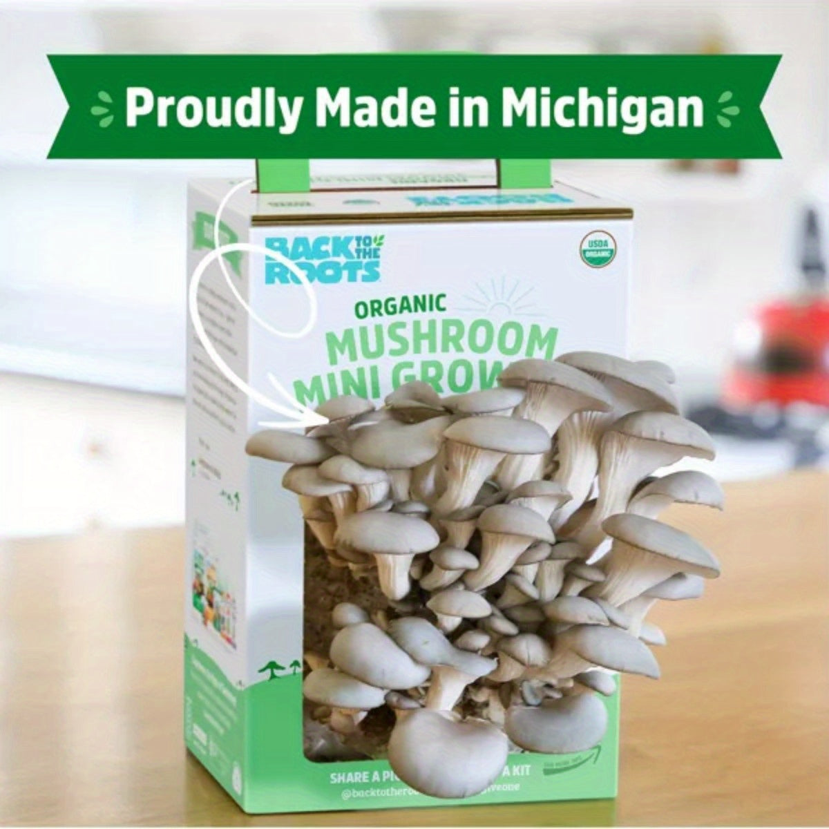 Back to the Roots Organic Mushroom Mini Grow Kit Pearl Oyster Chef's Market