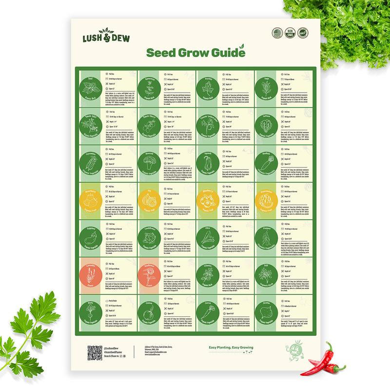 LUSH&DEW All-in-One Kitchen Garden Seed Bank - 32 Organic Garden Plant Seed Varieties with Vegetables, Herbs, Flowers, Fruits. Chef's Market
