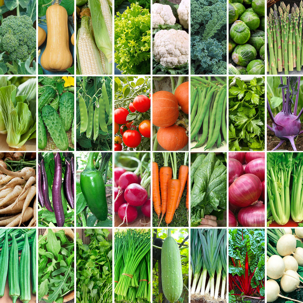 32 Kinds of Organic Vegetable Seeds, 8600 Kinds of Antique Seeds Gift Package, Non-GMO Vegetable Seeds Grow Suit, Indoor and Outdoor Planting, Family Fresh Food Vegetable Supply Chef's Market