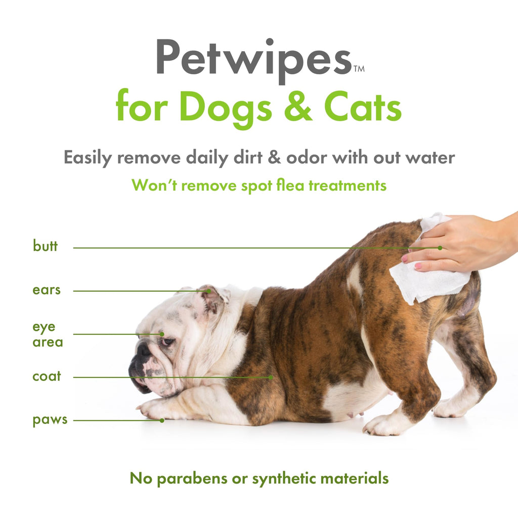 Plant-Based Petwipes, 100 Wipes - Biobased, Sustainable, Big & Thick Pet Wipes for Dogs & Cats - for Face, Paws, Ears, Bo