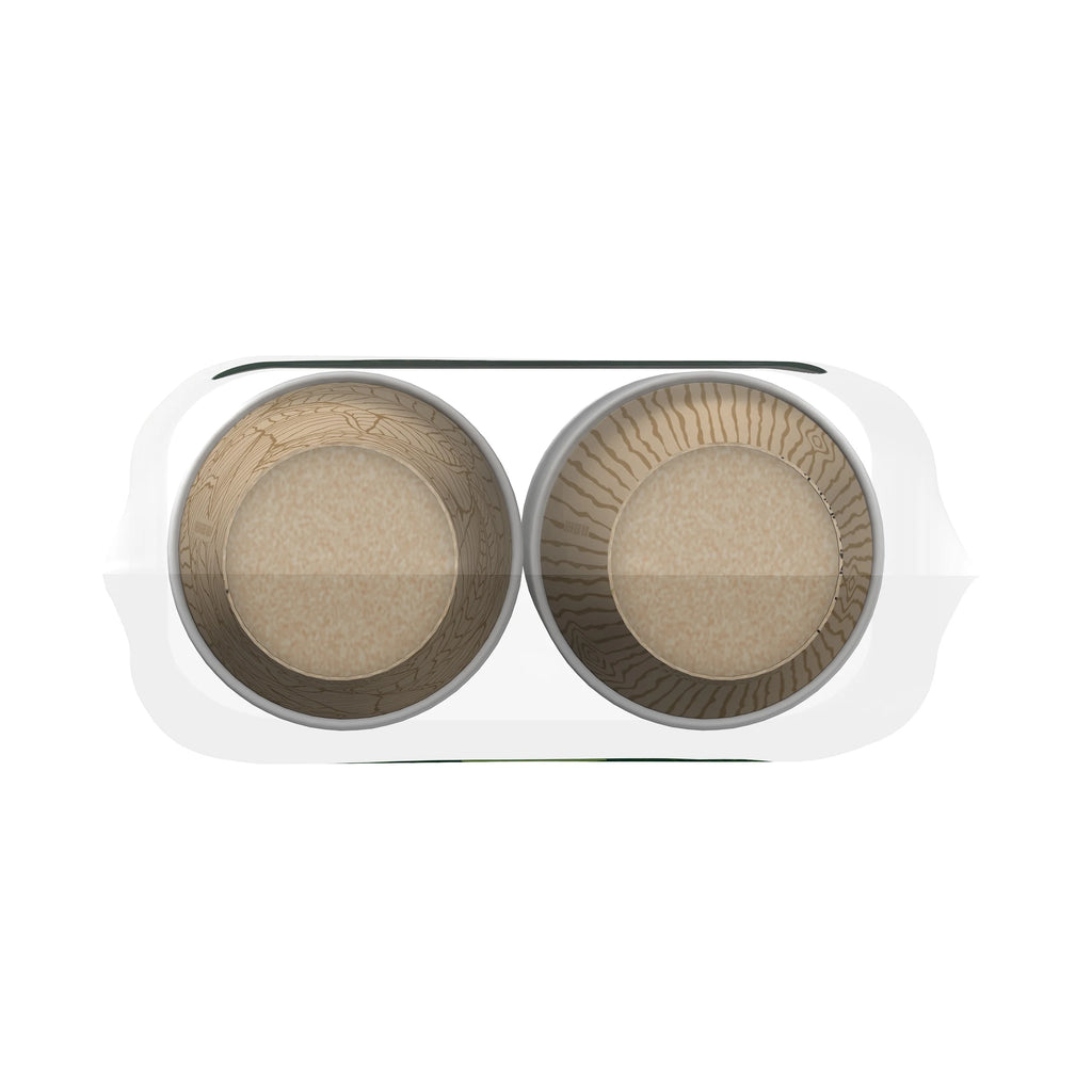 Ecosmart Disposable Paper Cups, 16 Oz, Multi-Color, 40 Count