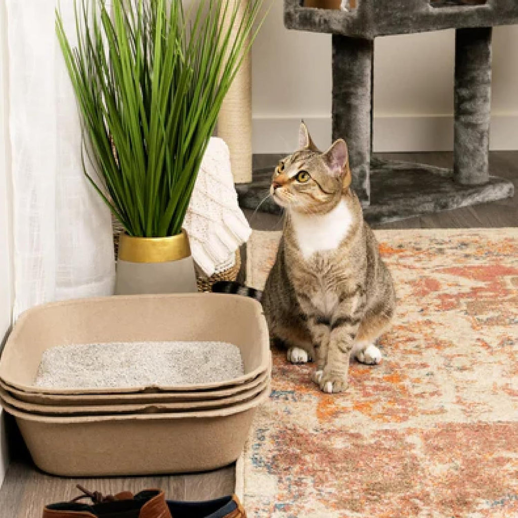 (Set of 1 Litter Box & 5 Sifting Liners) Disposable Sifting Cat Litter Box Large, 6 Count, Durable and Portable for Travel and Home Odor Control